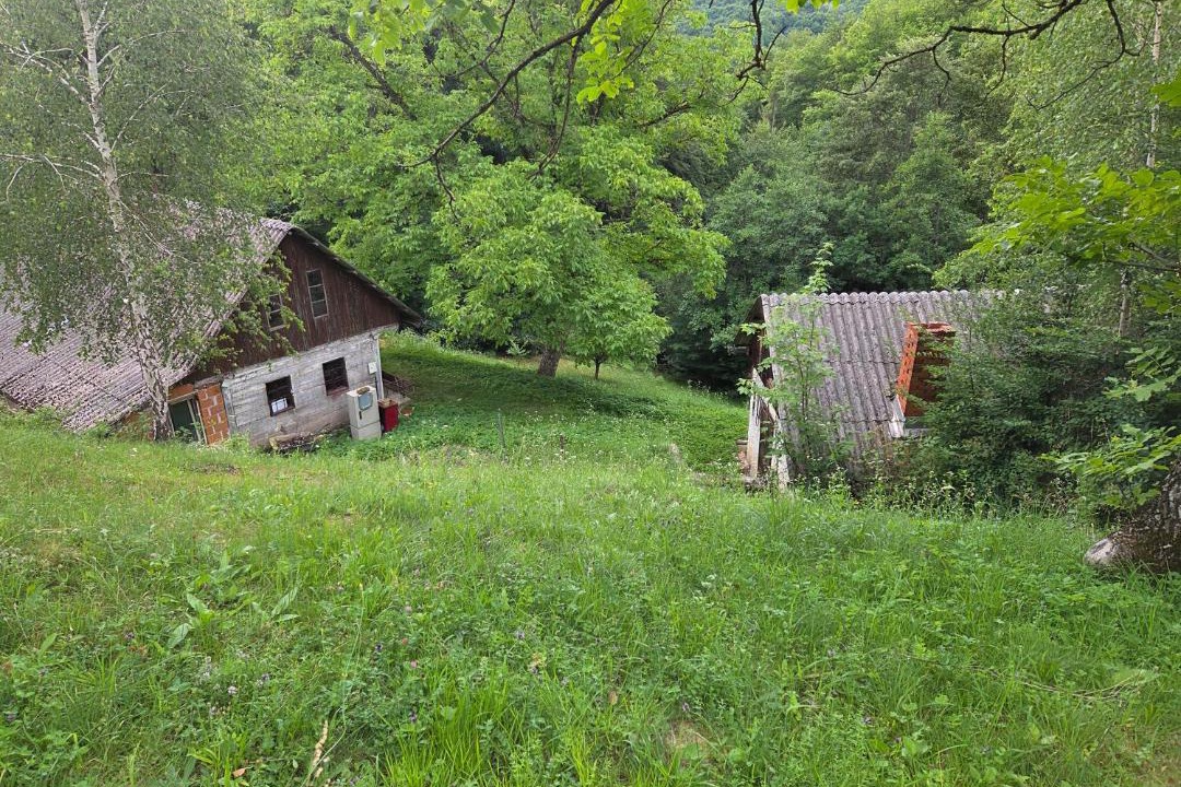 Photo of Others in Smarje pri Jelsah
