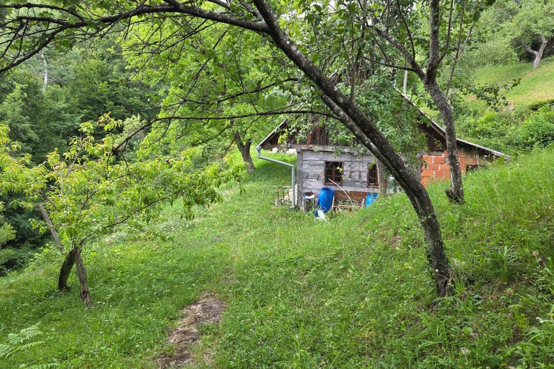 Photo of Others in Smarje pri Jelsah