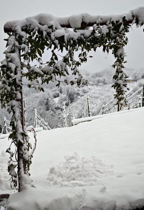 Photo of Others in Vinica