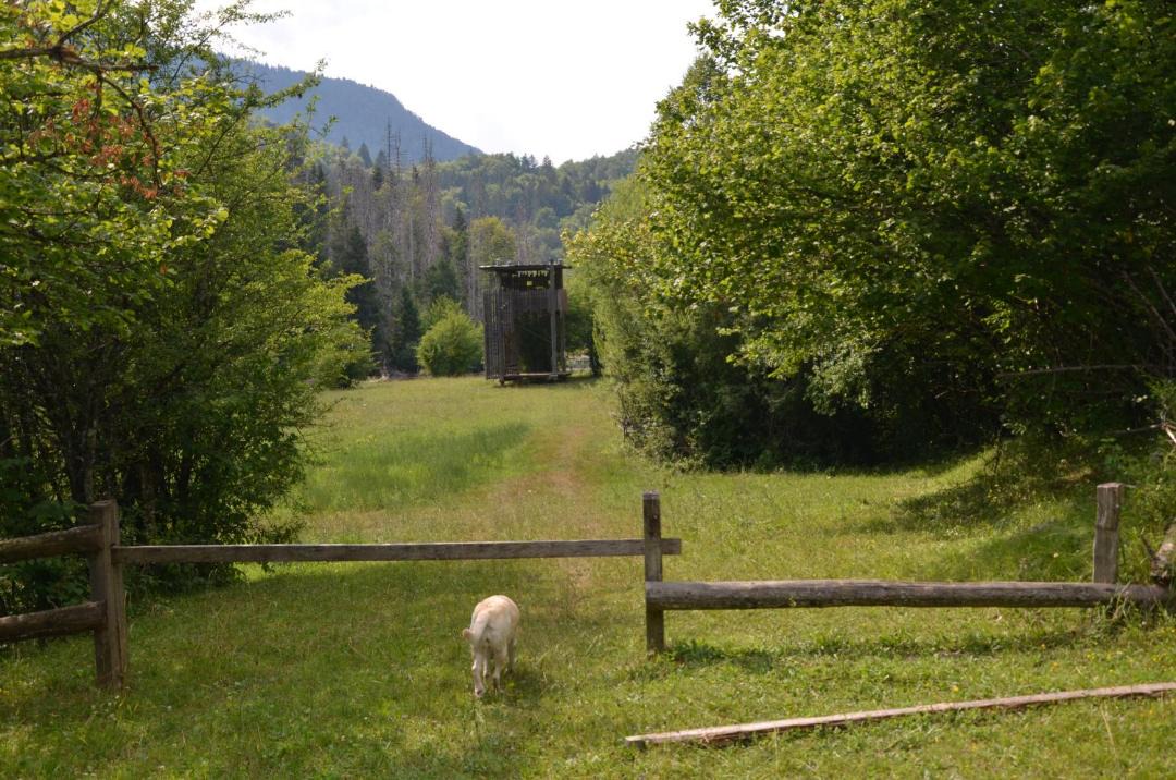 Photo of Others in Kocevska Reka