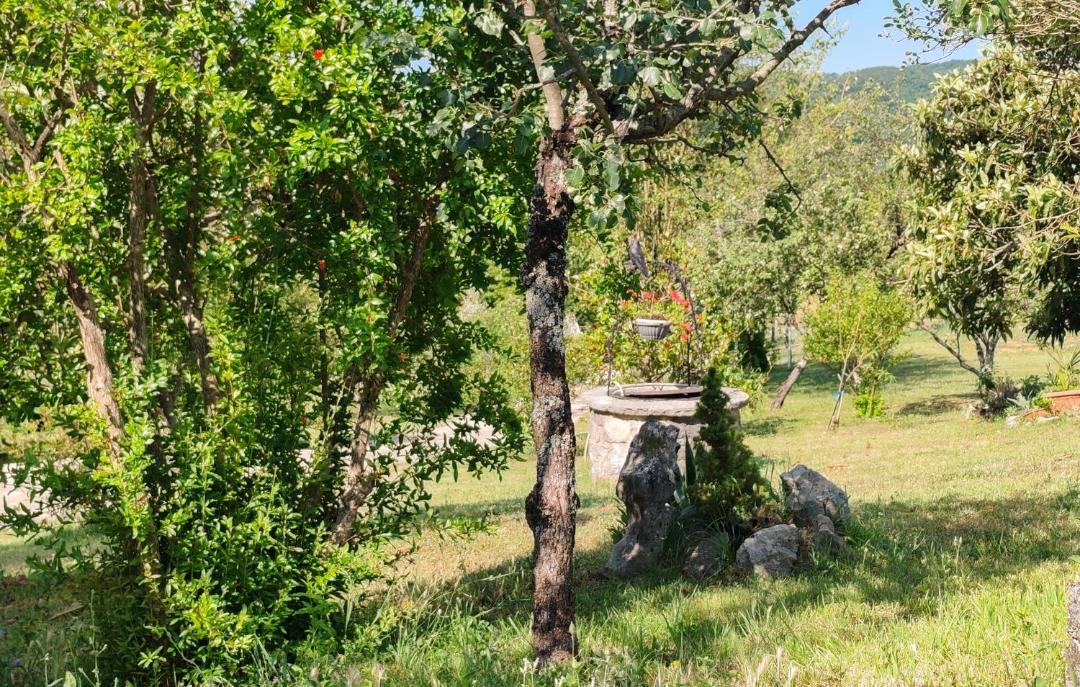 Photo of Others in Buzet