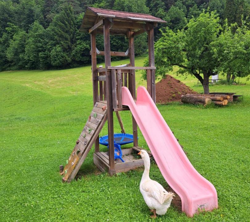 Photo of Others in Hrastnik