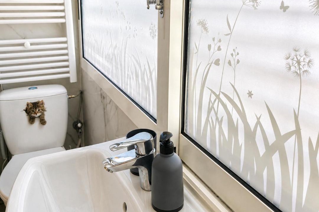 Photo of Bathroom in Terme Catez