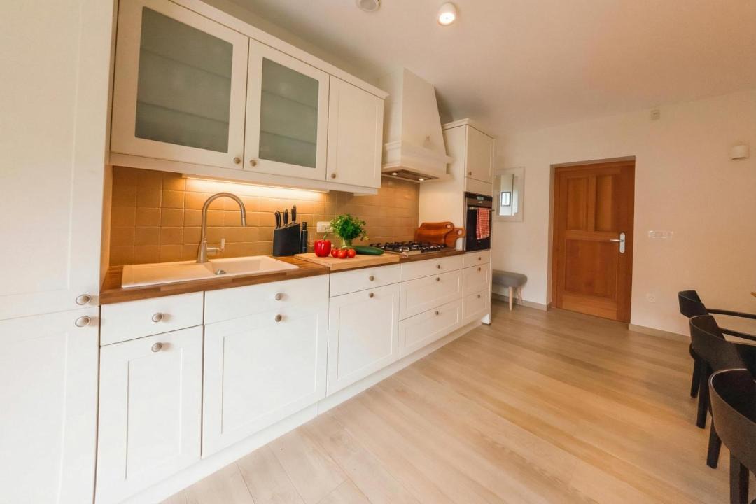 Photo of Kitchen in Metlika