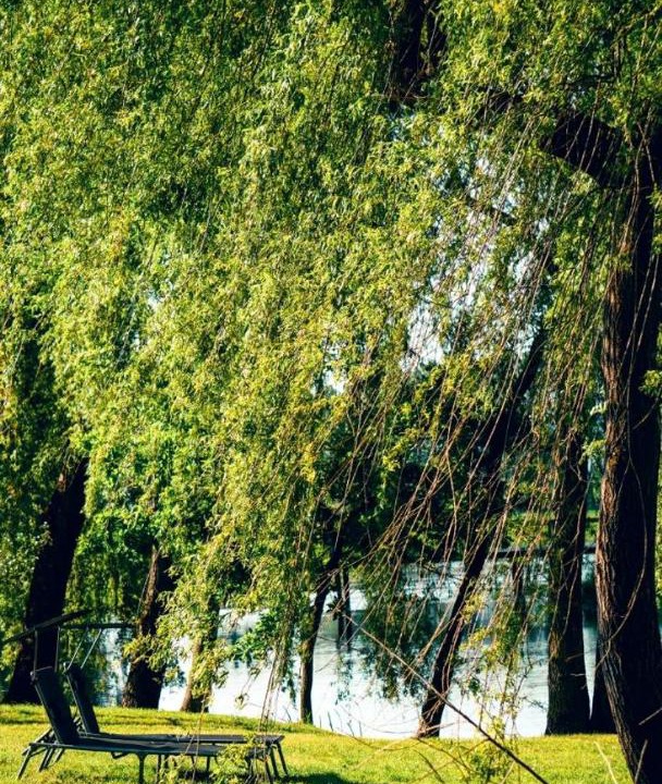 Photo of Others in Licko Lesce