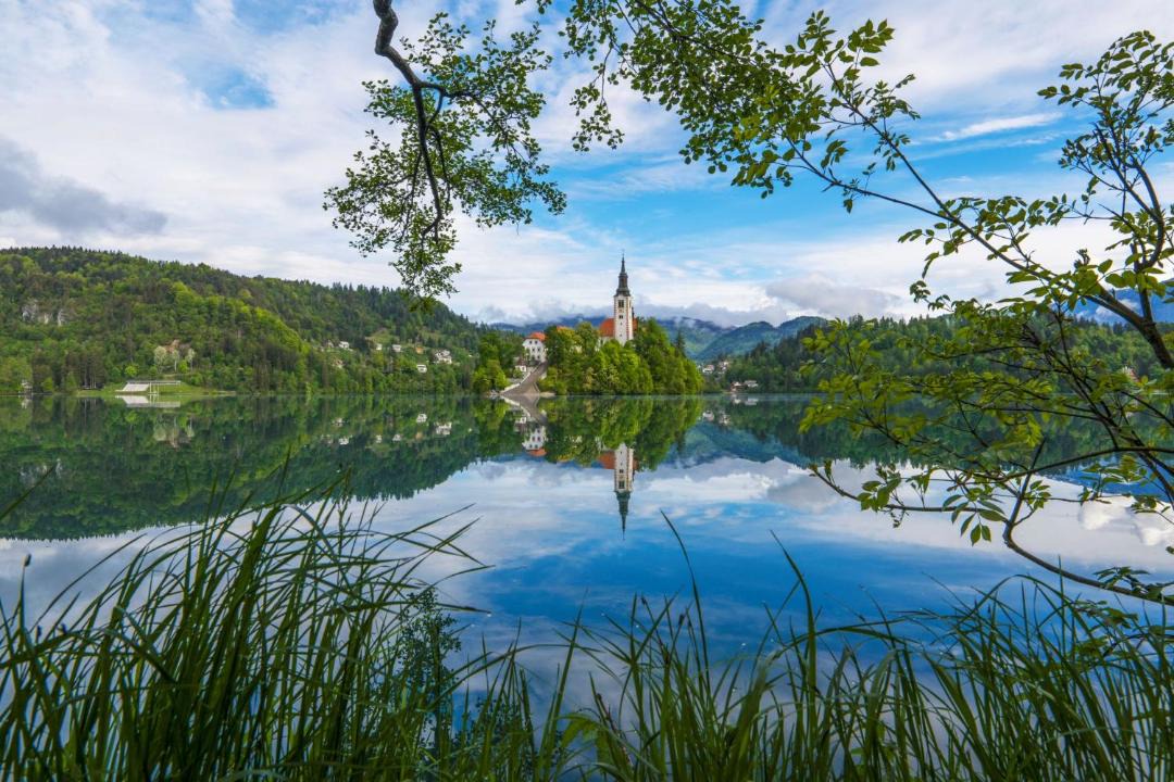 Photo of Others in Bled