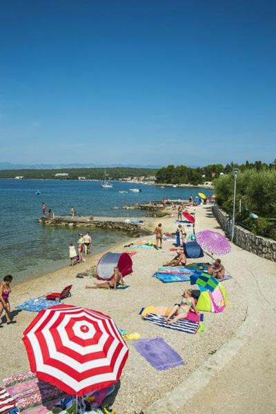 Photo of Others in Milcetici