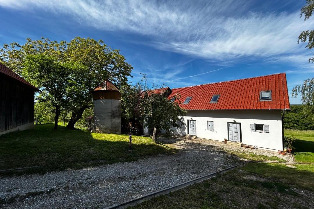 Photo of Others in Majsperk