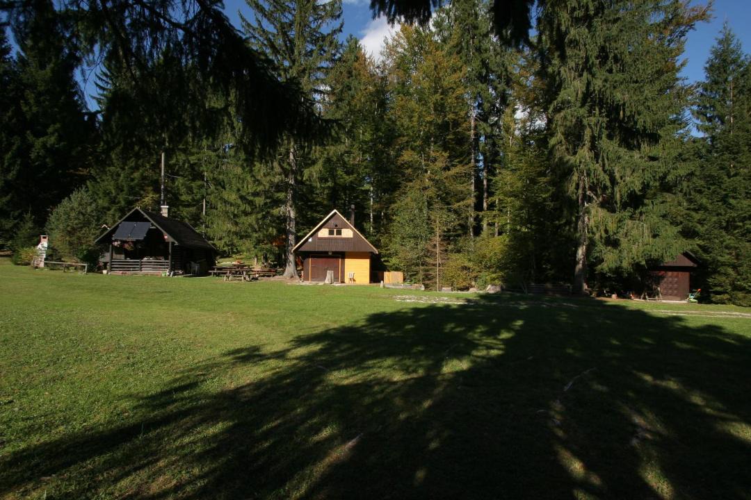 Photo of Others in Bled