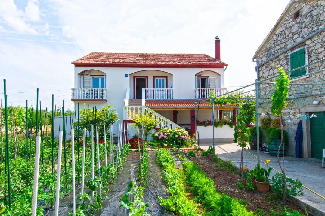 Photo of Others in Dobropoljana