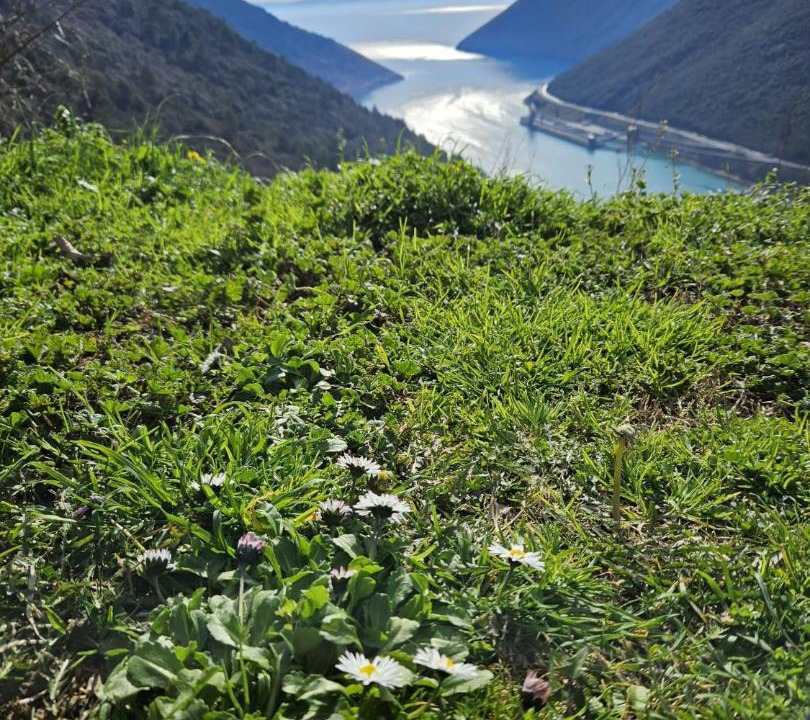 Photo of Others in Plomin