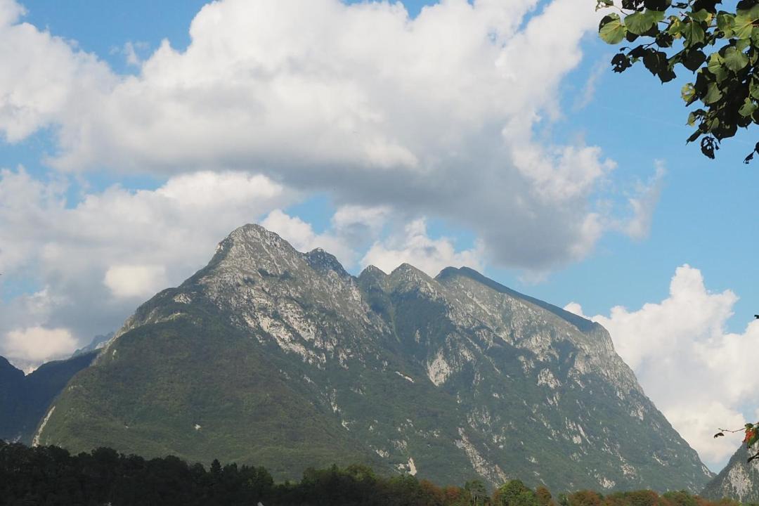 Photo of Others in Cezsoca
