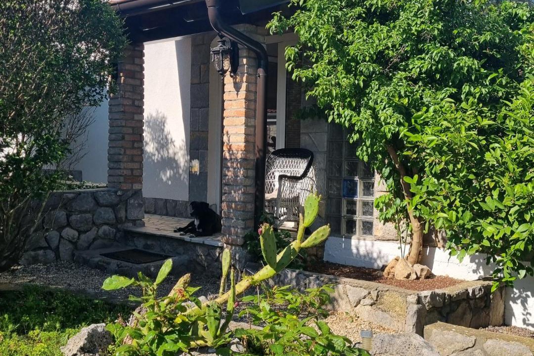 Photo of Others in Milohnici