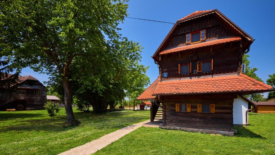Photo of Others in Sisak