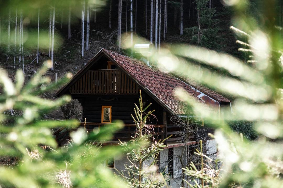 Photo of Others in Ljubno