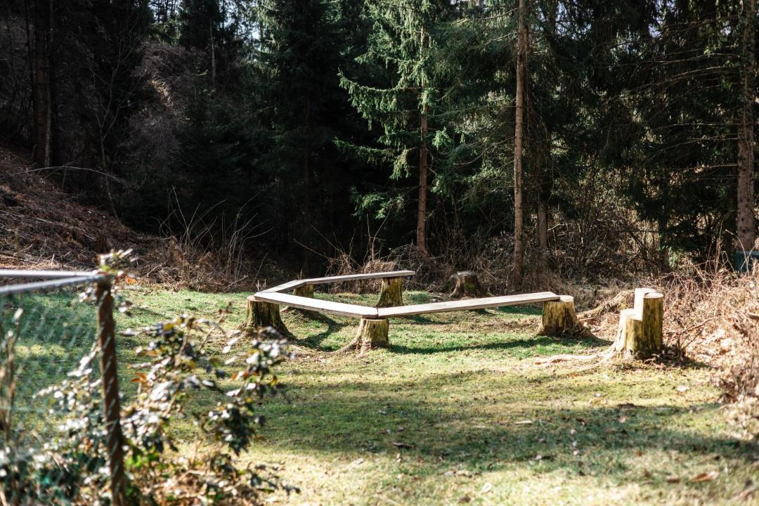 Photo of Others in Ljubno