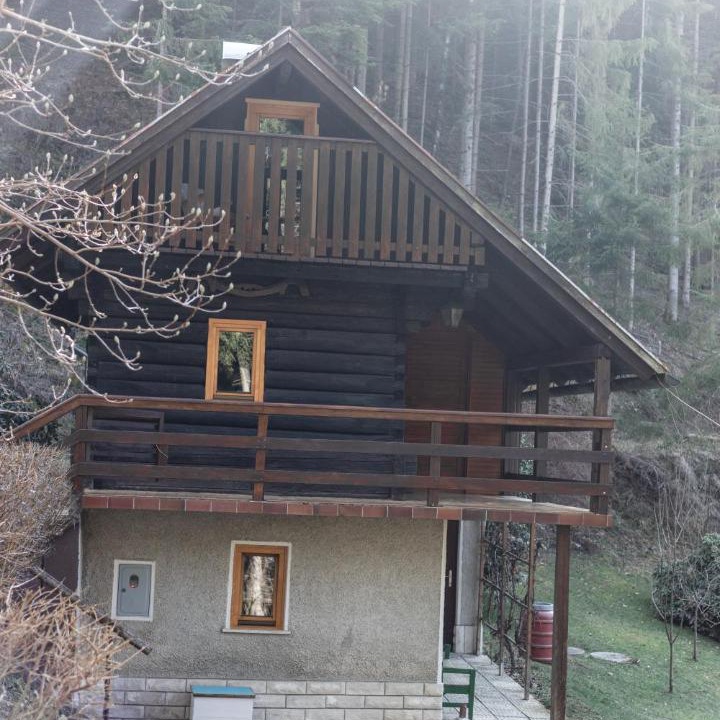 Photo of Others in Ljubno
