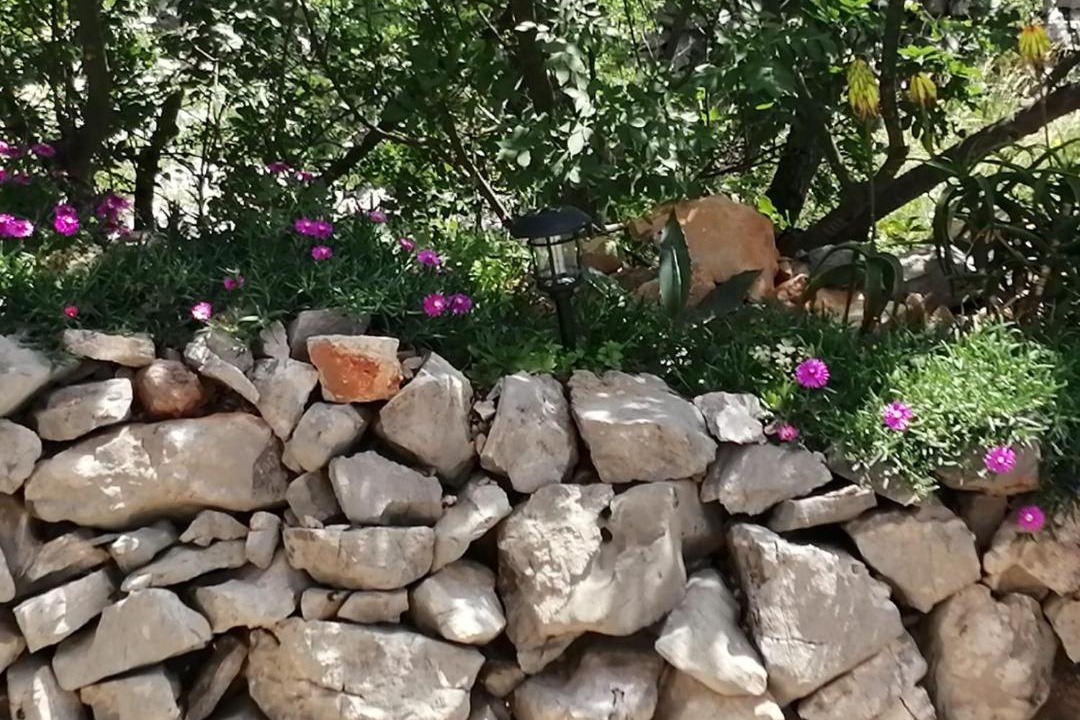 Photo of Others in Sveti Juraj