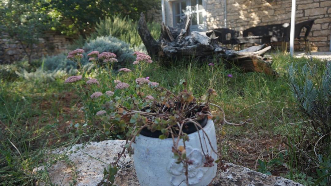 Photo of Others in Stifanici