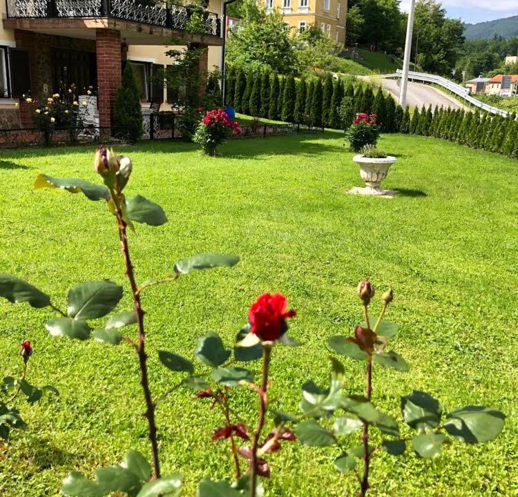 Photo of Others in Rogaska Slatina