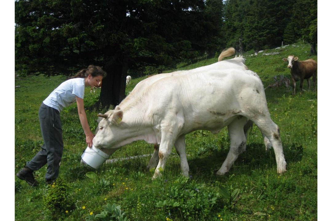 Photo of Others in Luce