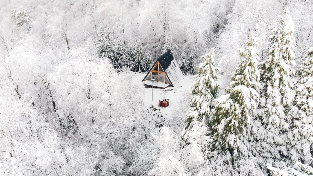 Photo of Others in Senturska Gora