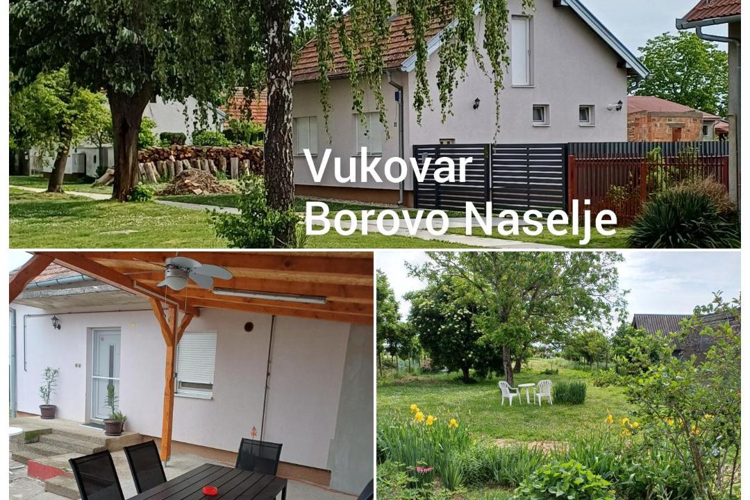 Photo of Others in Borovo