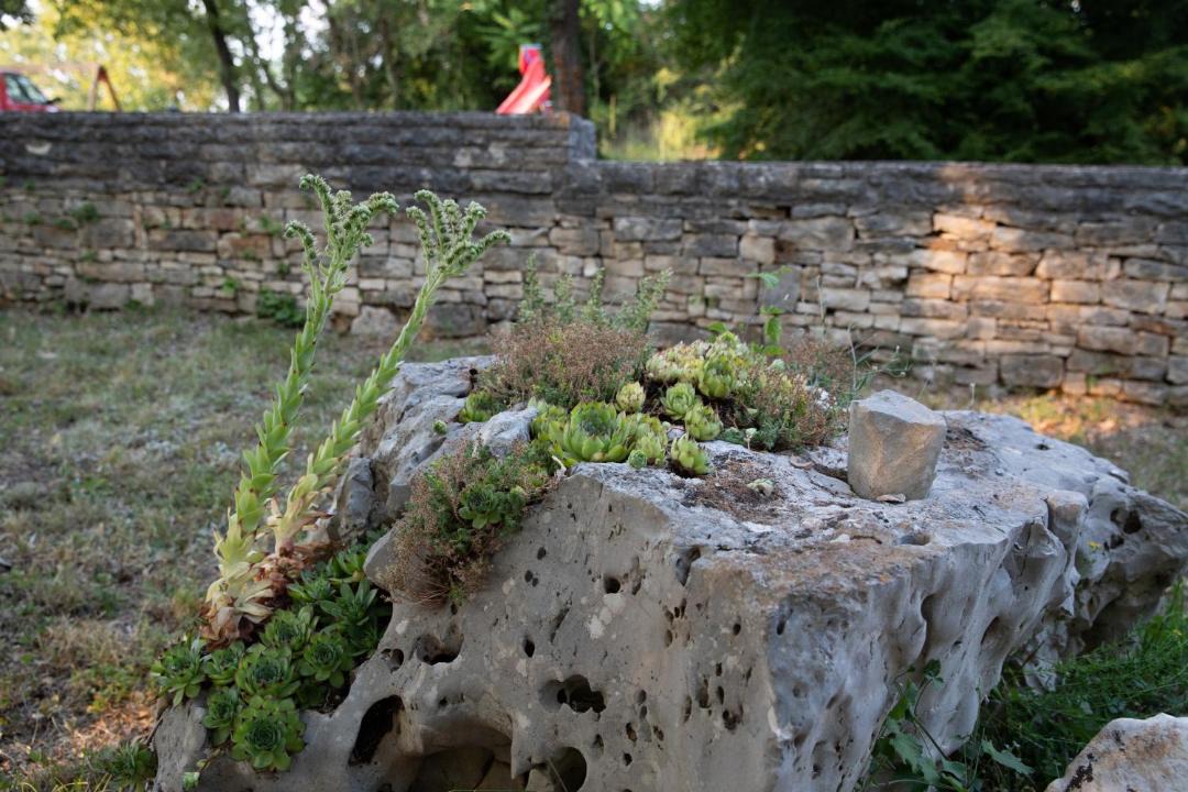 Photo of Others in Kruncici