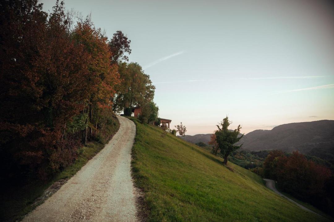 Photo of Others in Majsperk