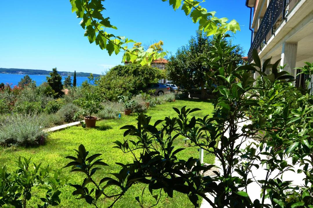 Photo of Others in Portoroz