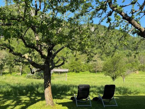 Photo of Others in Bohinjska Bela