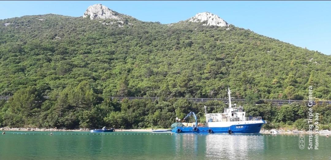 Photo of Others in Plomin