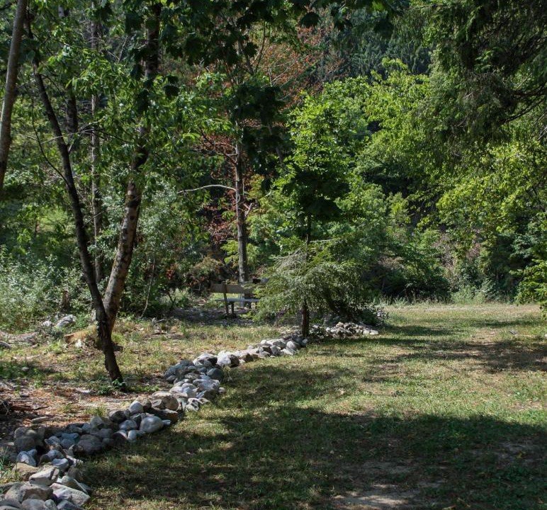 Photo of Others in Ljubno