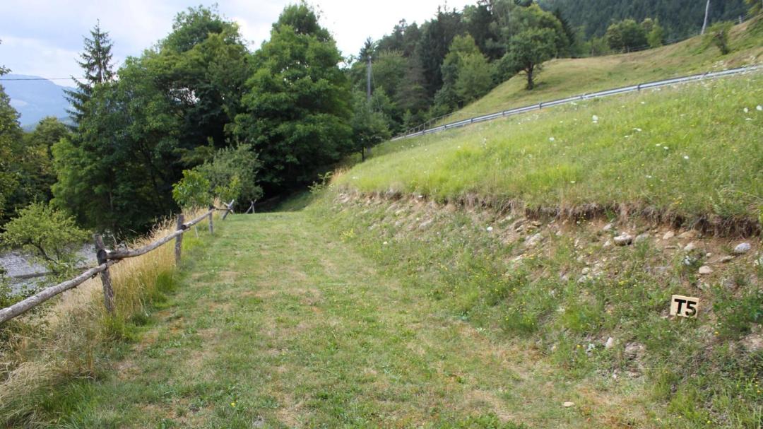 Photo of Others in Ljubno