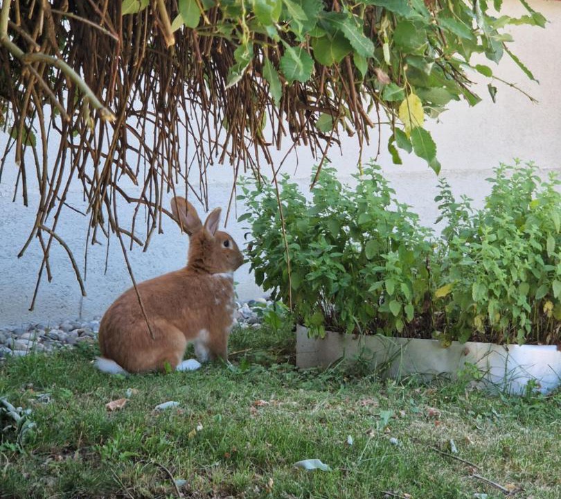 Photo of Outdoor in Rogaska Slatina