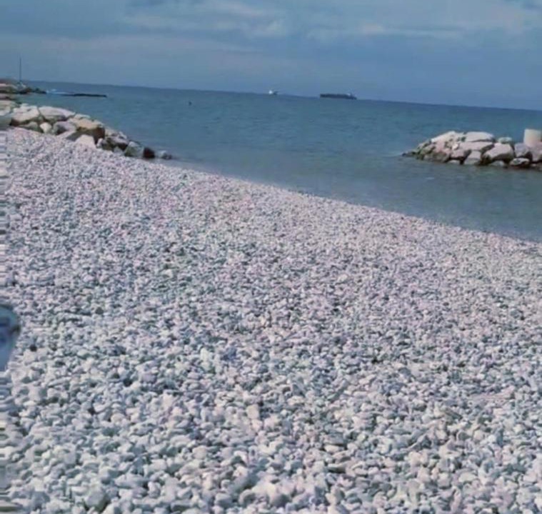 Photo of Others in Koper