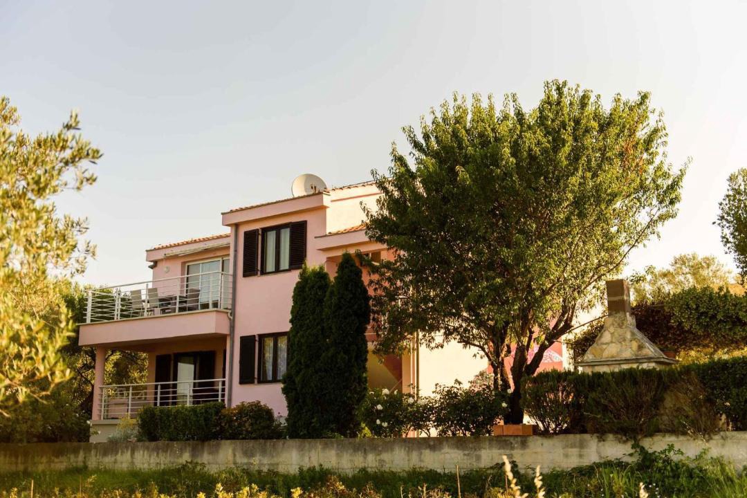 Photo of Others in Kozino
