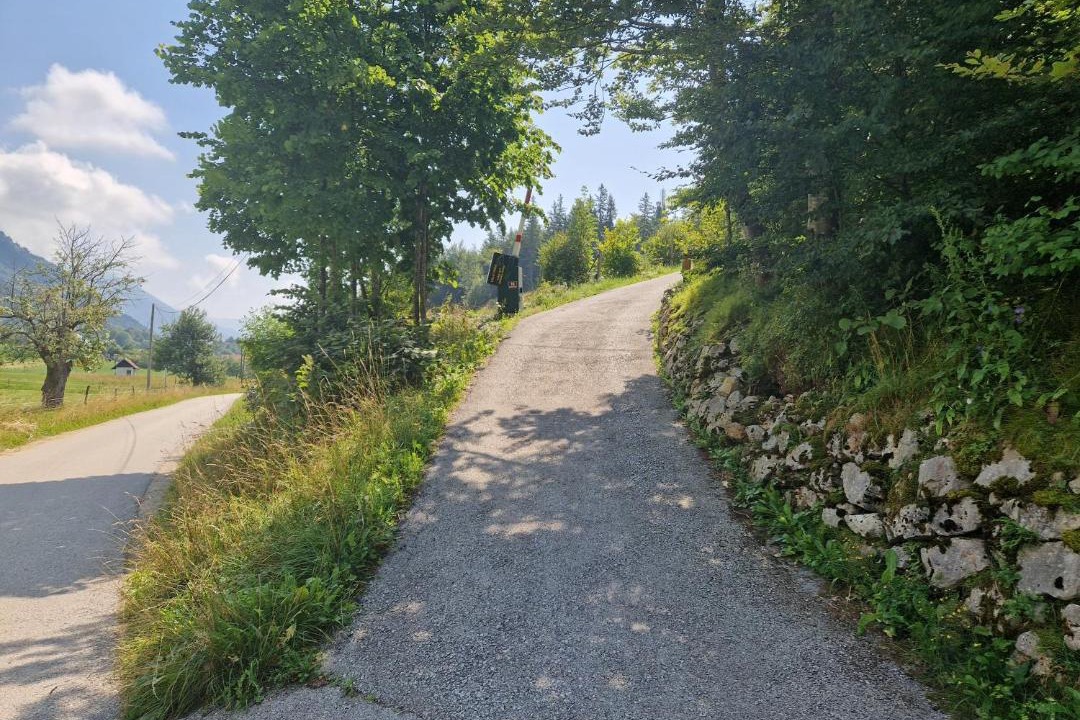 Photo of Others in Trzic