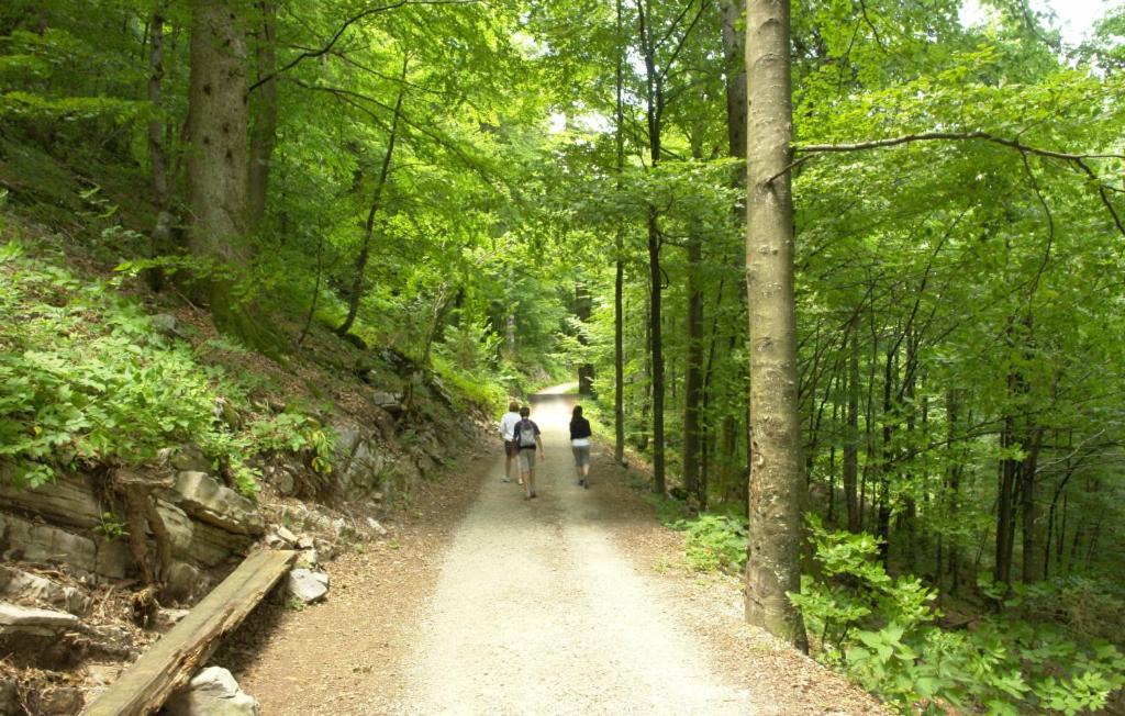 Photo of Others in Brod Moravice