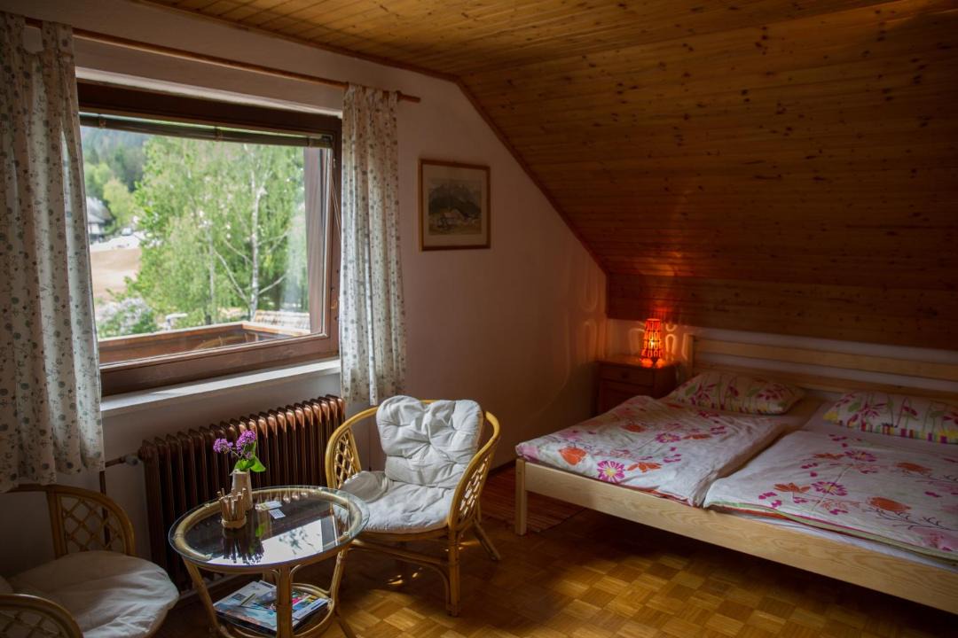Photo of Others in Kranjska Gora