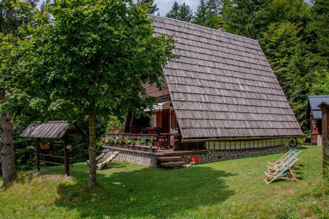 Photo of Others in Jesenice