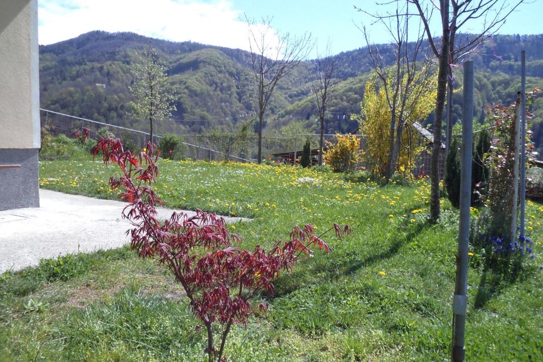Photo of Others in Kambresko