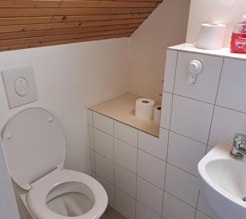 Photo of Bathroom in Bohinjska Bistrica