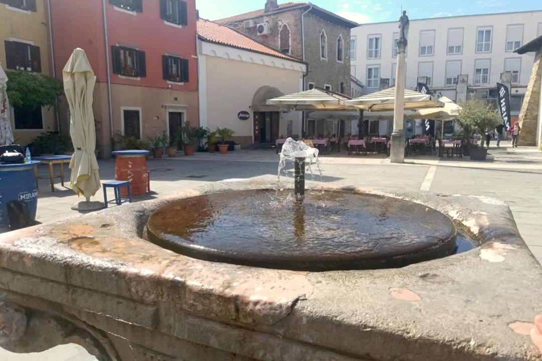 Photo of Others in Koper