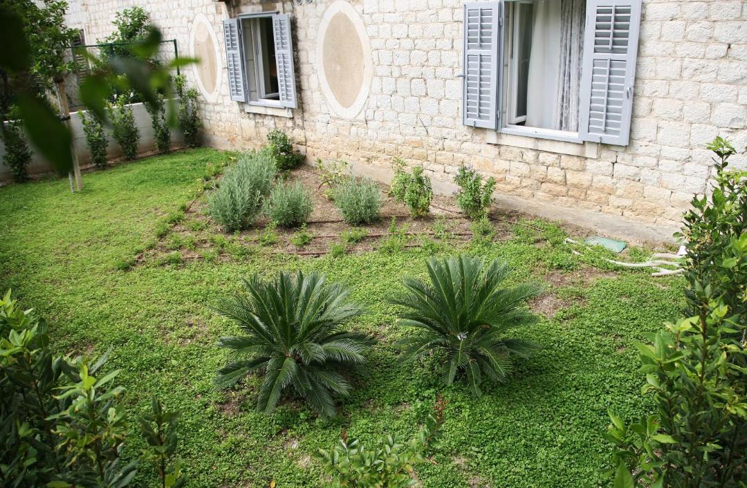 Photo of Others in Split