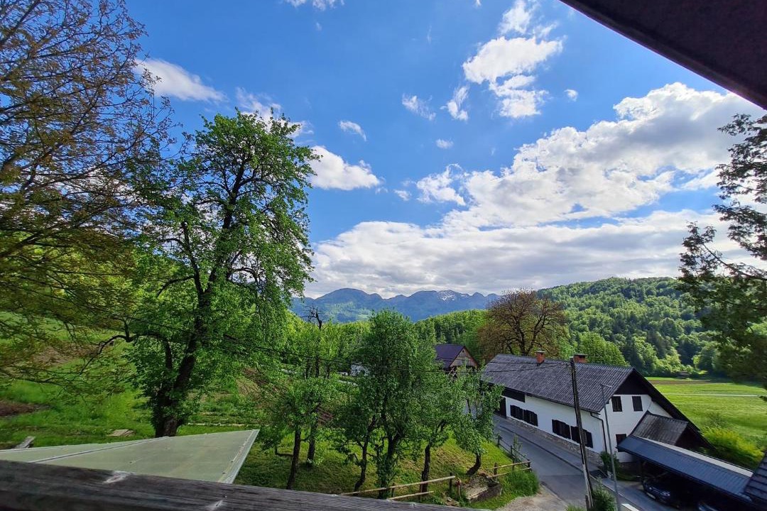 Photo of Others in Bohinj