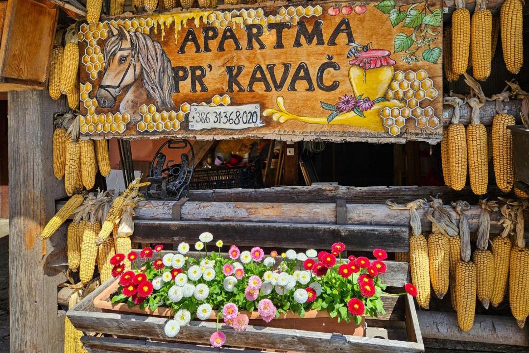 Photo of Others in Ratece