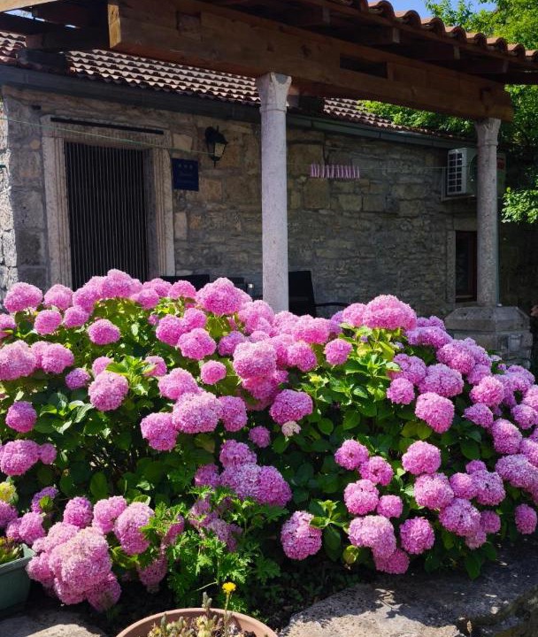 Photo of Others in Zrnovo