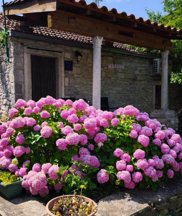 Photo of Others in Zrnovo