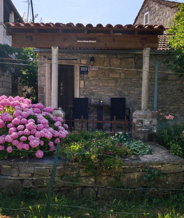 Photo of Others in Zrnovo